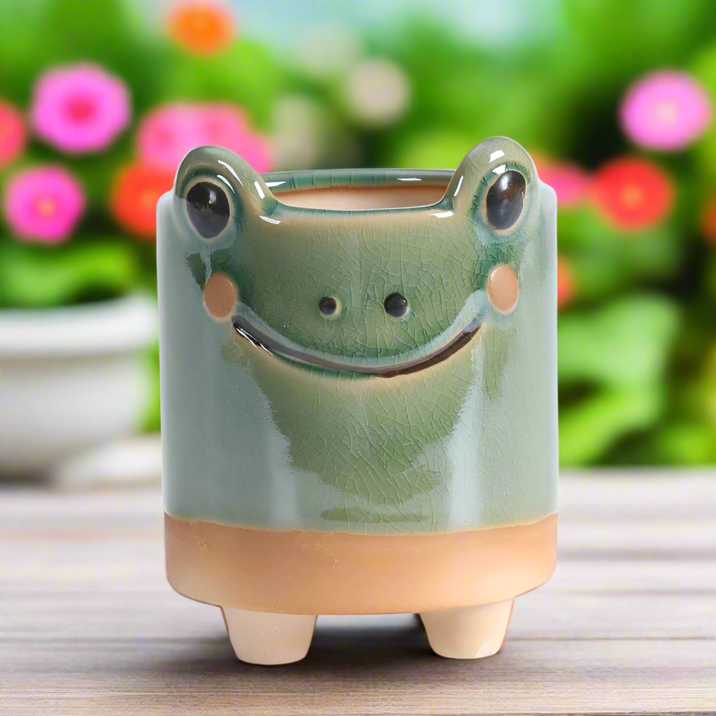 Funky Frog Planter Pot | Ceramic Succulent & Cactus Pot 7x10.5cm