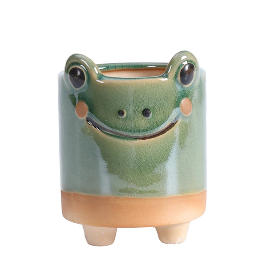 Pot Planter Garden Funky Frog