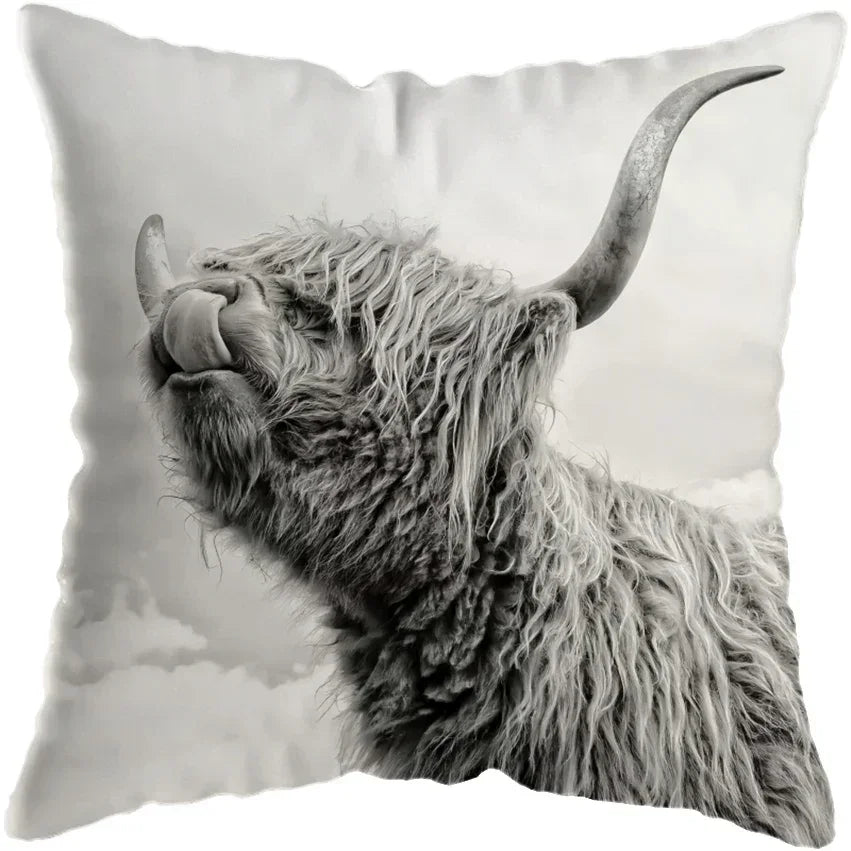 Cushion Cover Highland Cow Range - Multiple Sizes Available