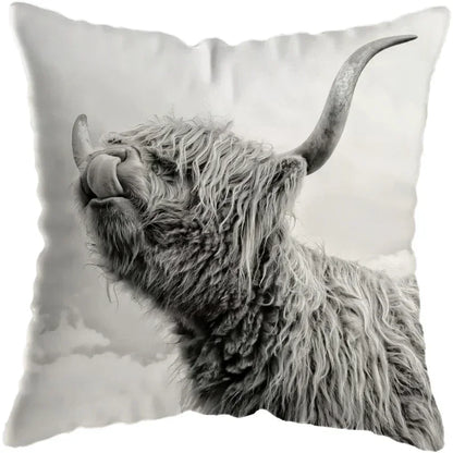 Cushion Cover Highland Cow Range - Multiple Sizes Available