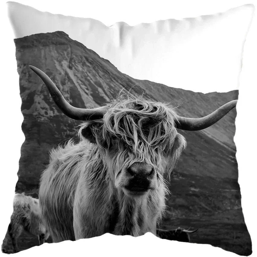 Cushion Cover Highland Cow Range - Multiple Sizes Available