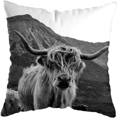 Cushion Cover Highland Cow Range - Multiple Sizes Available