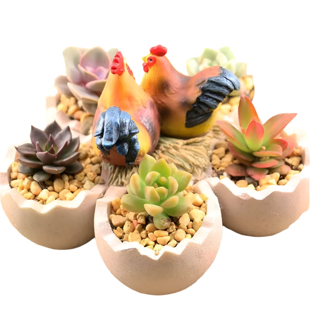 Chicken Bird Egg Pot Planter Garden