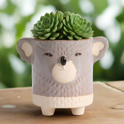 Koala Planter Pot 7cm | Ceramic Garden & Indoor Succulent Pot Australia