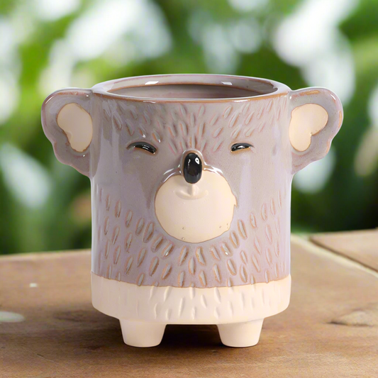 Pot Planter Garden Koala Australia