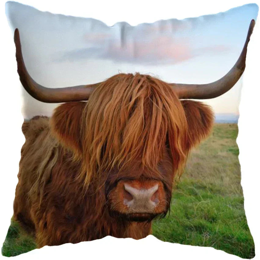 Cushion Cover Highland Cow Range - Multiple Sizes Available