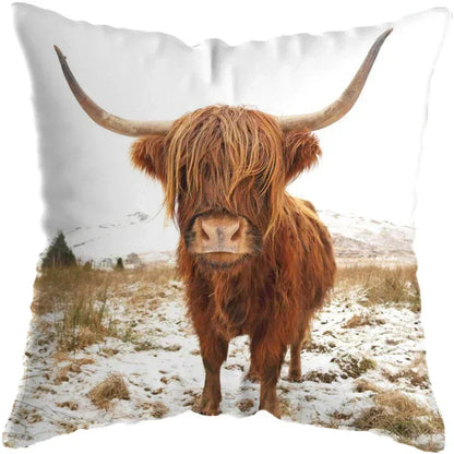 Cushion Cover Highland Cow Range - Multiple Sizes Available