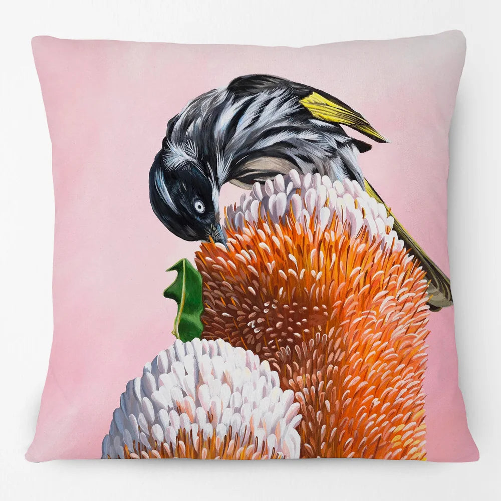 Australian Birds Cushion Cover | Rainbow Lorikeet Black Cockatoo Magpie & More | 45cm
