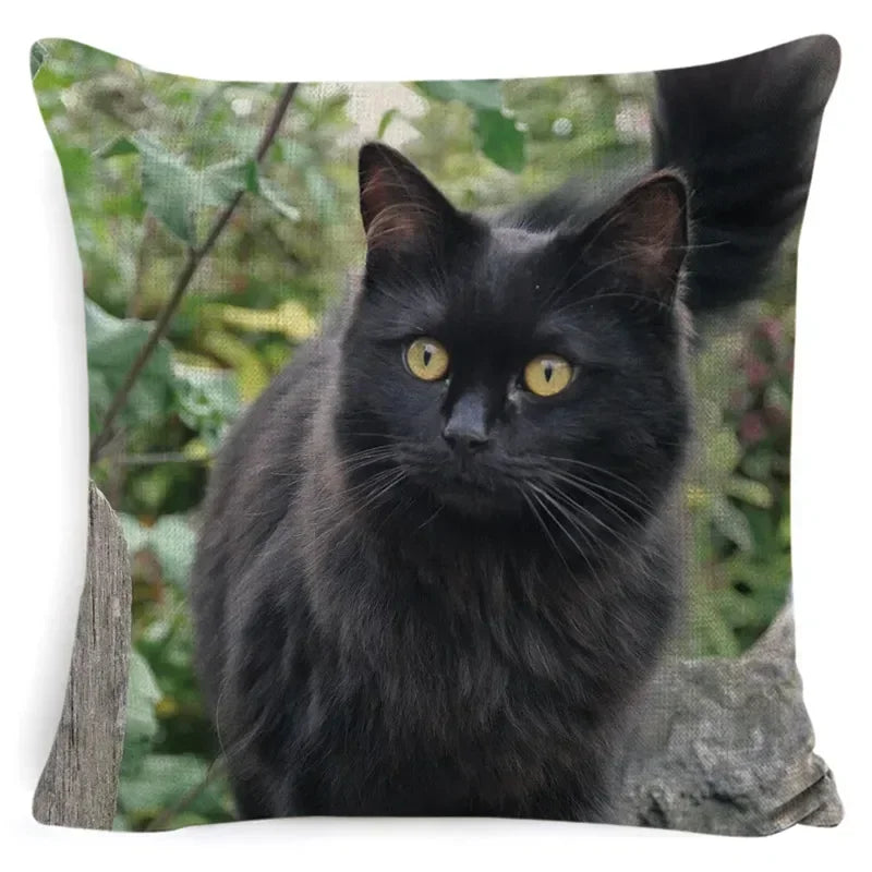 Cushion Cover Cats & Kitty | Cat Lover Decorative Throw Pillow Cotton Linen