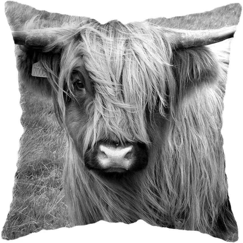 Cushion Cover Highland Cow Range - Multiple Sizes Available