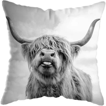 Cushion Cover Highland Cow Range - Multiple Sizes Available