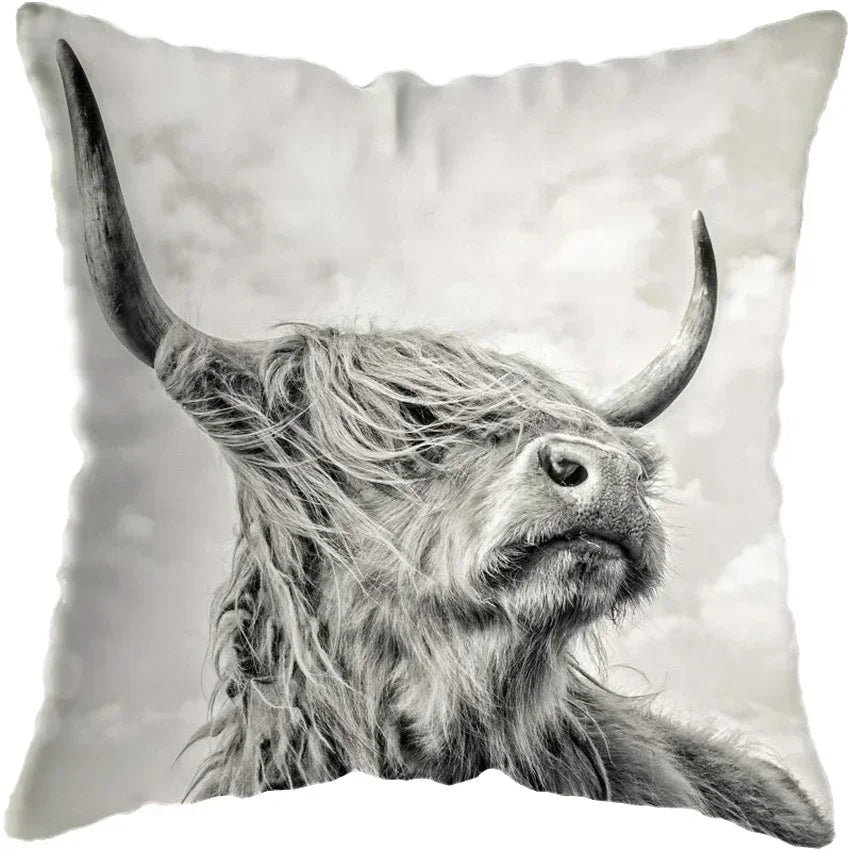 Cushion Cover Highland Cow Range - Multiple Sizes Available