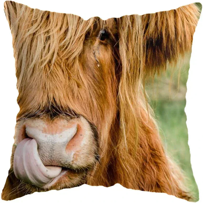 Cushion Cover Highland Cow Range - Multiple Sizes Available