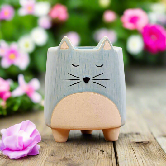 Pot Planter Garden Blue Kitty Cat