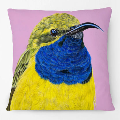 Australian Birds Cushion Cover | Rainbow Lorikeet Black Cockatoo Magpie & More | 45cm