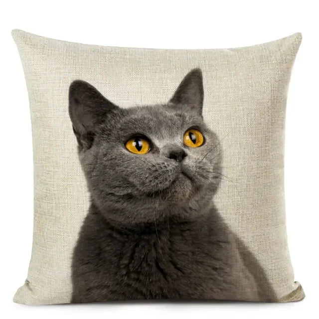 Pet Cat Print Throw Pillow Case Cute Shorthair Decorative Cushion Cover for Home Decor - The Renmy Store Homewares & Gifts 