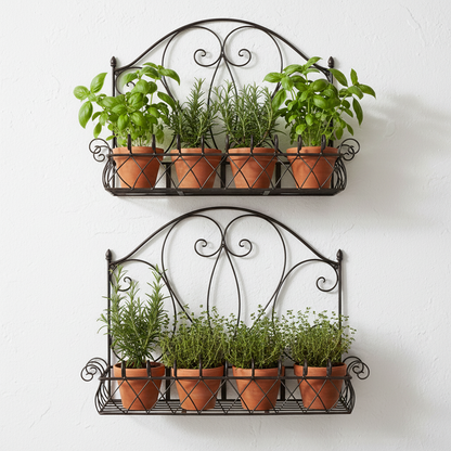 Wall Planter Pots Set of 2 Rustic Herb Garden | Extra Large & Large