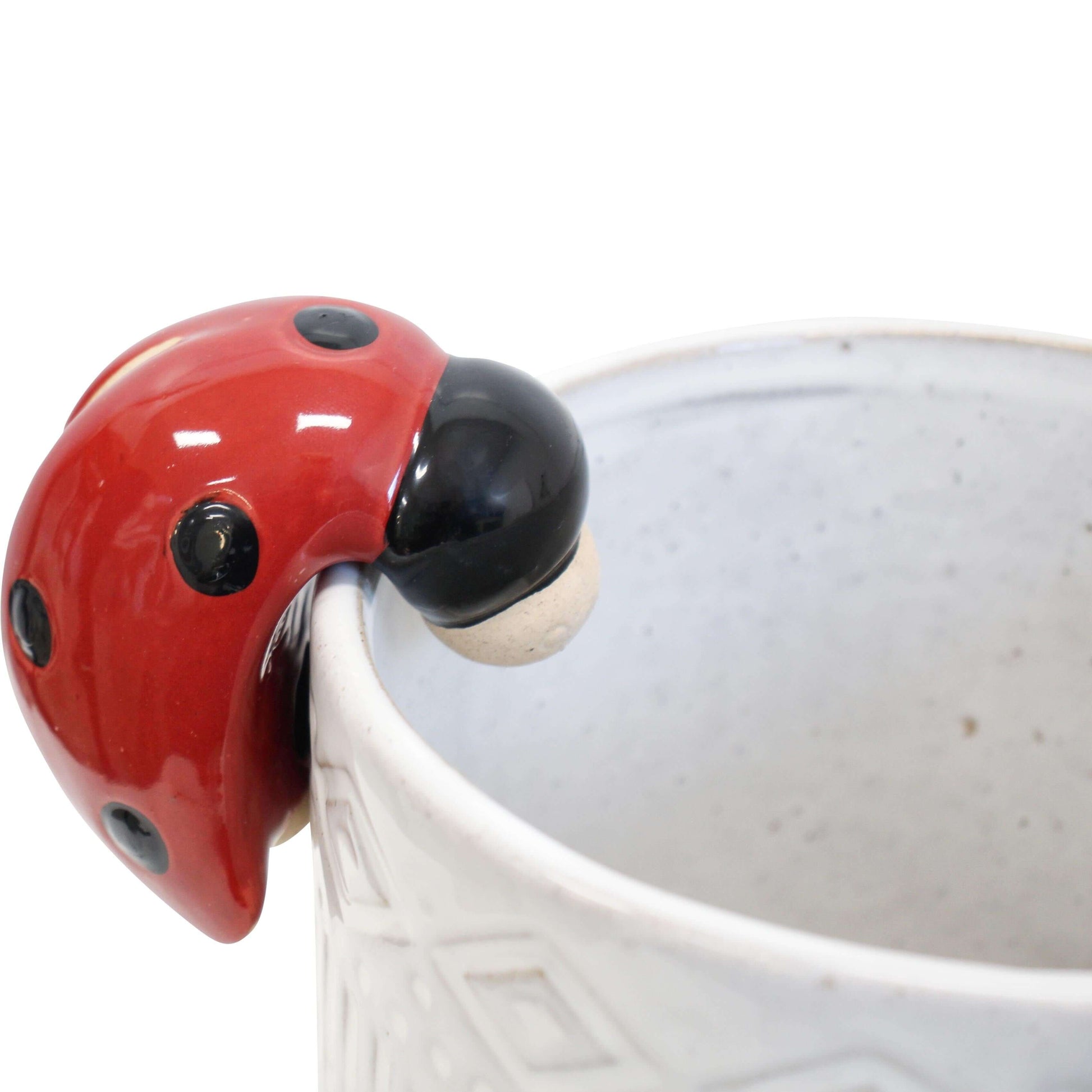 Bee and Ladybeetle Pot Sitter Hanger Planter - The Renmy Store Homewares & Gifts 