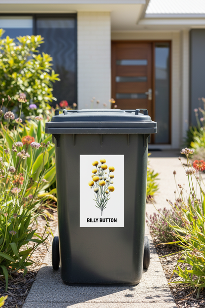 Billy Button bin sticker