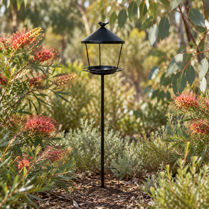 Black standing bird feeder in an Australian native garden