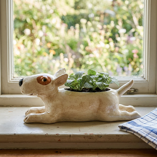 Bull Terrier planter with fittonia on a cottage windowsill