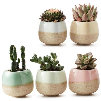 Planter Pot Set of 5 Succulent Cactus Garden