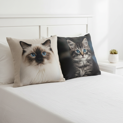 Cat Cushions Bedroom