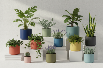 Colourful Ceramic Planter Pot Hero Image
