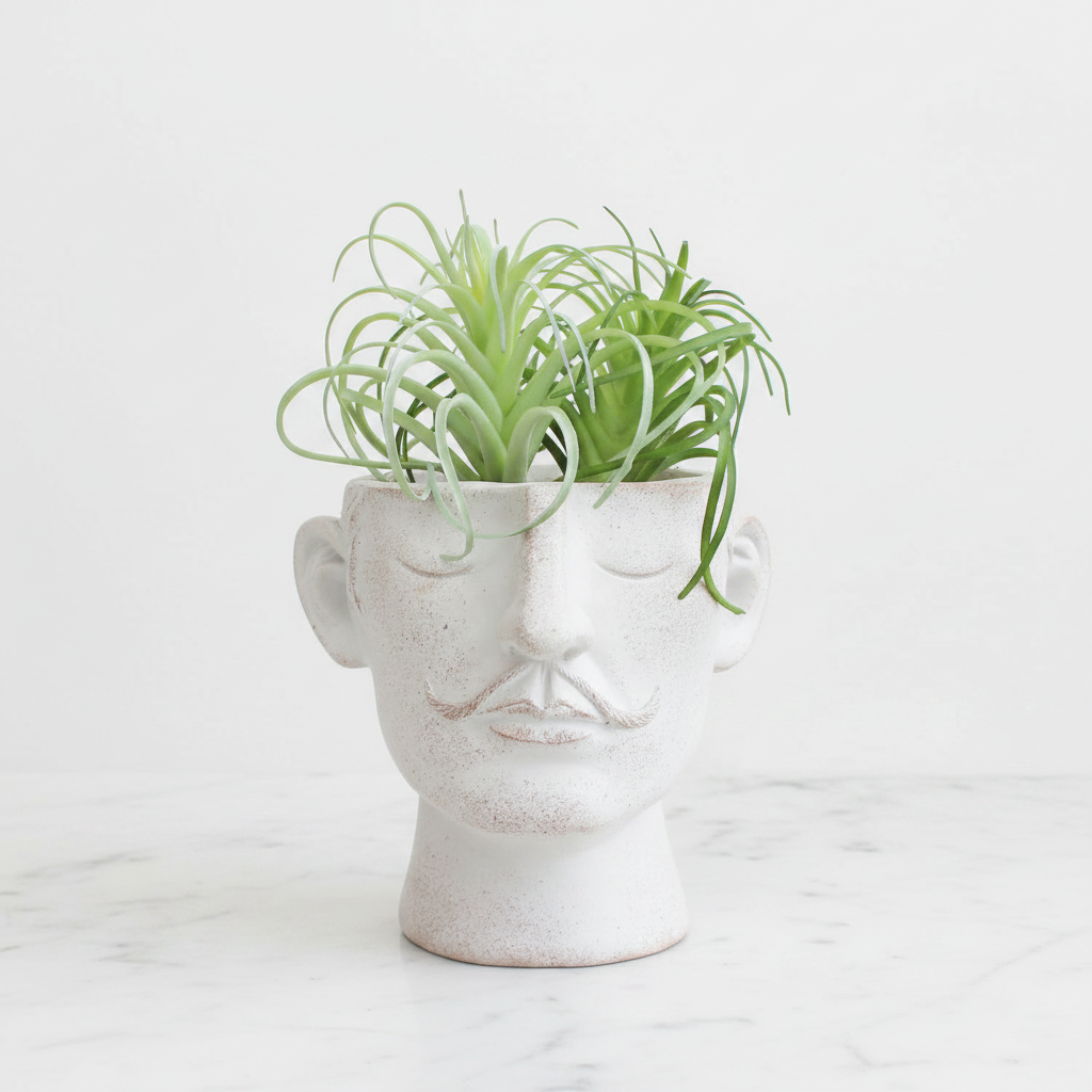 Face pot white bg