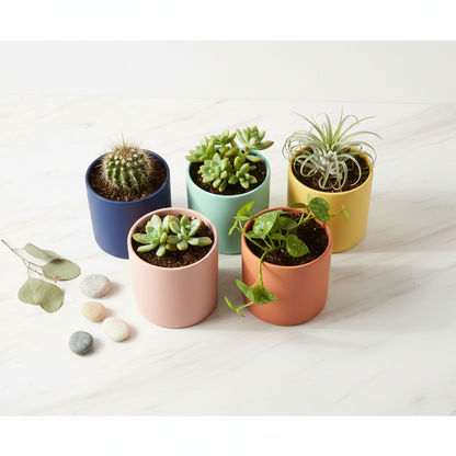 Flat Lay - No Tray Ceramic Pots