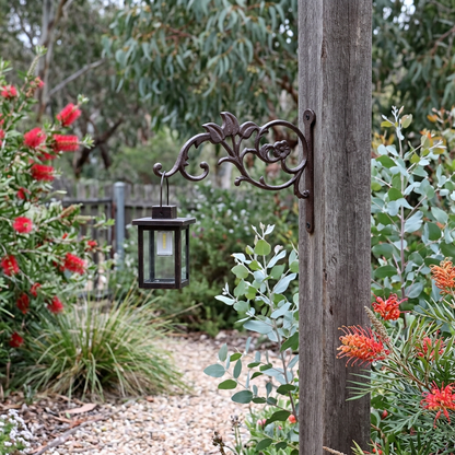 Floral bracket with a lantern beside an Australian native garden path