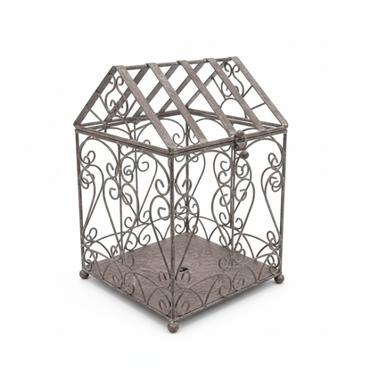 French Scroll terrarium on white