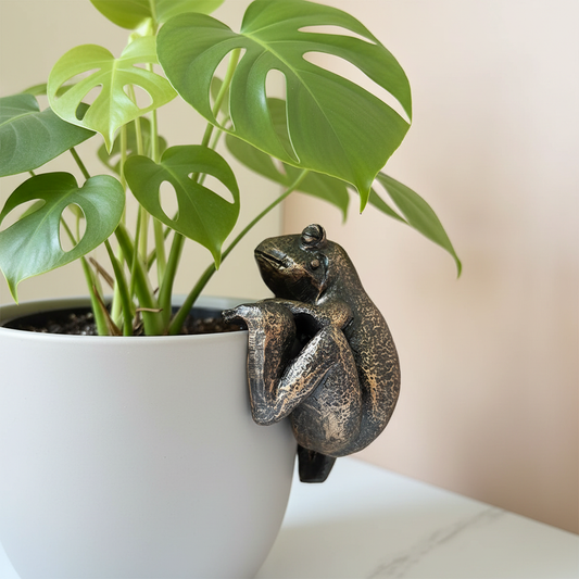 Frog Pot Hanger Side Profile Monstera