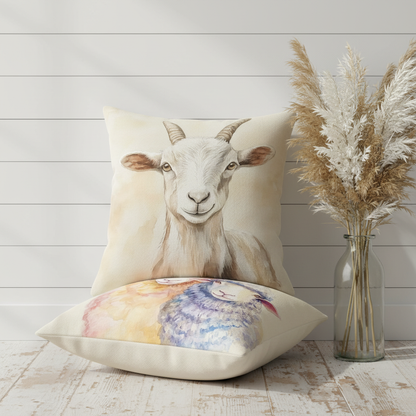 Goat & Sheep