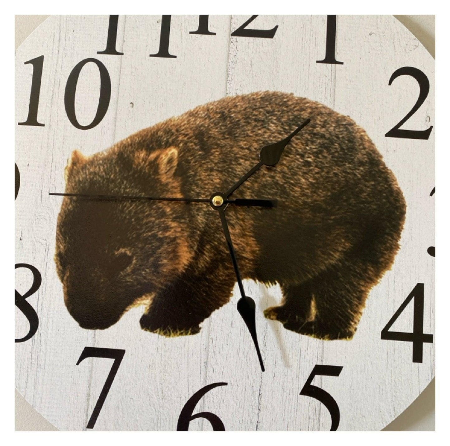 Clock Wall Wombat 30cm 60cm Aussie Made