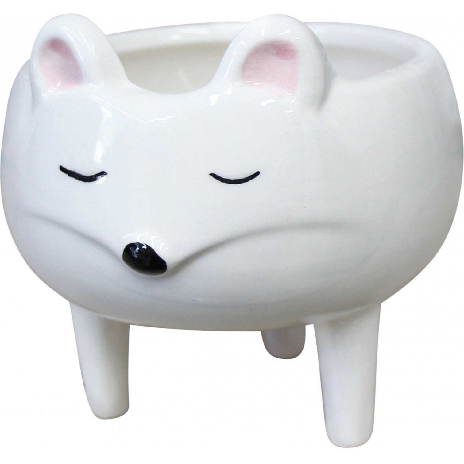 Mouse Pot Plant Planter Garden - The Renmy Store Homewares & Gifts 