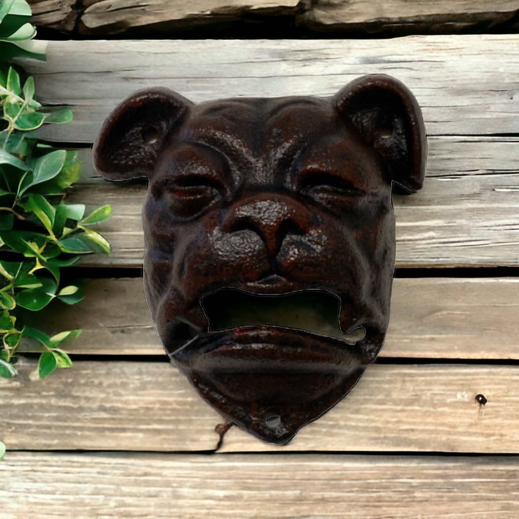 Dog Bulldog Beer Wall Bottle Opener - The Renmy Store Homewares & Gifts 