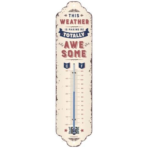 Thermometer Weather Temperature Awesome - The Renmy Store Homewares & Gifts 