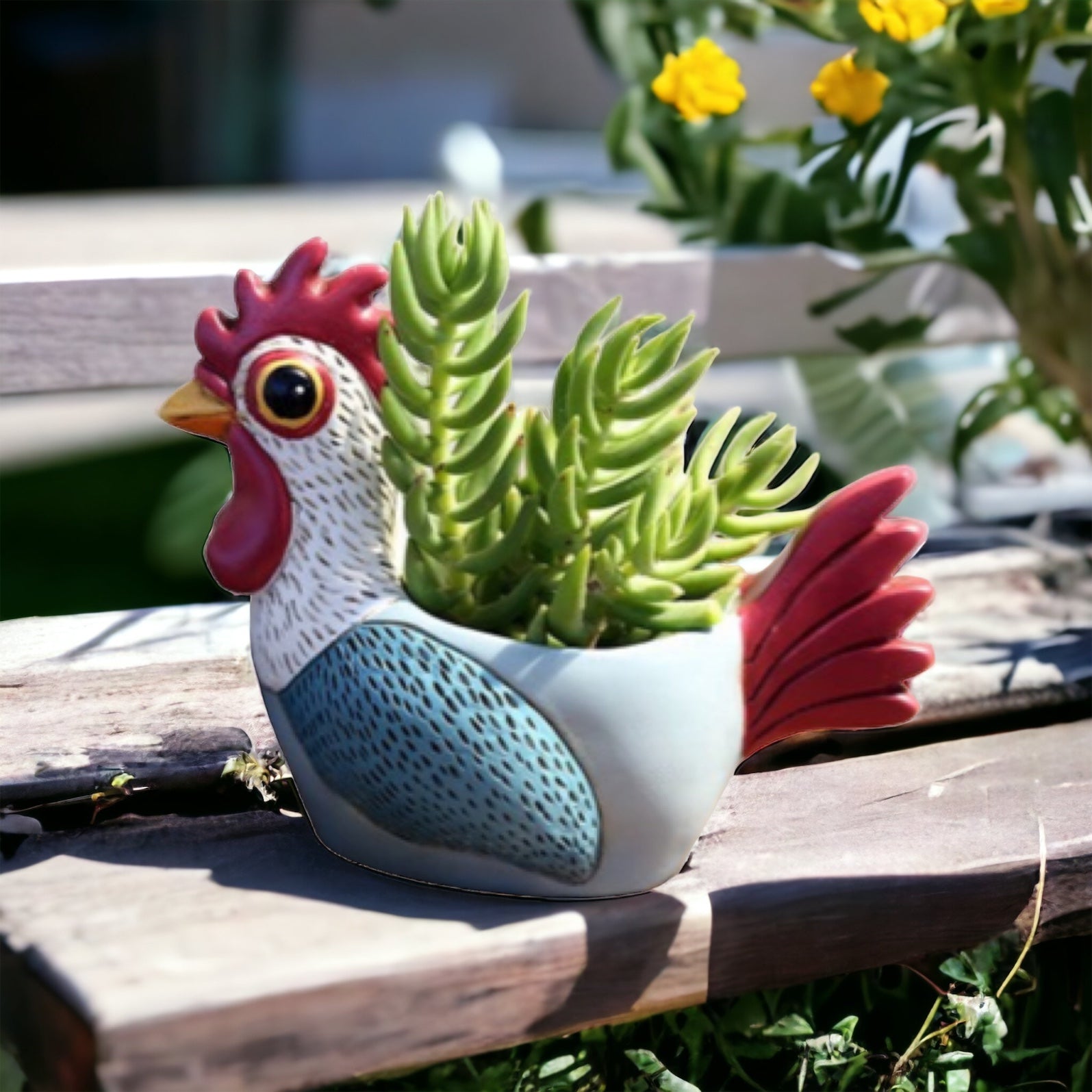 Rooster Blue Pot Planter Plant Small - The Renmy Store Homewares & Gifts 
