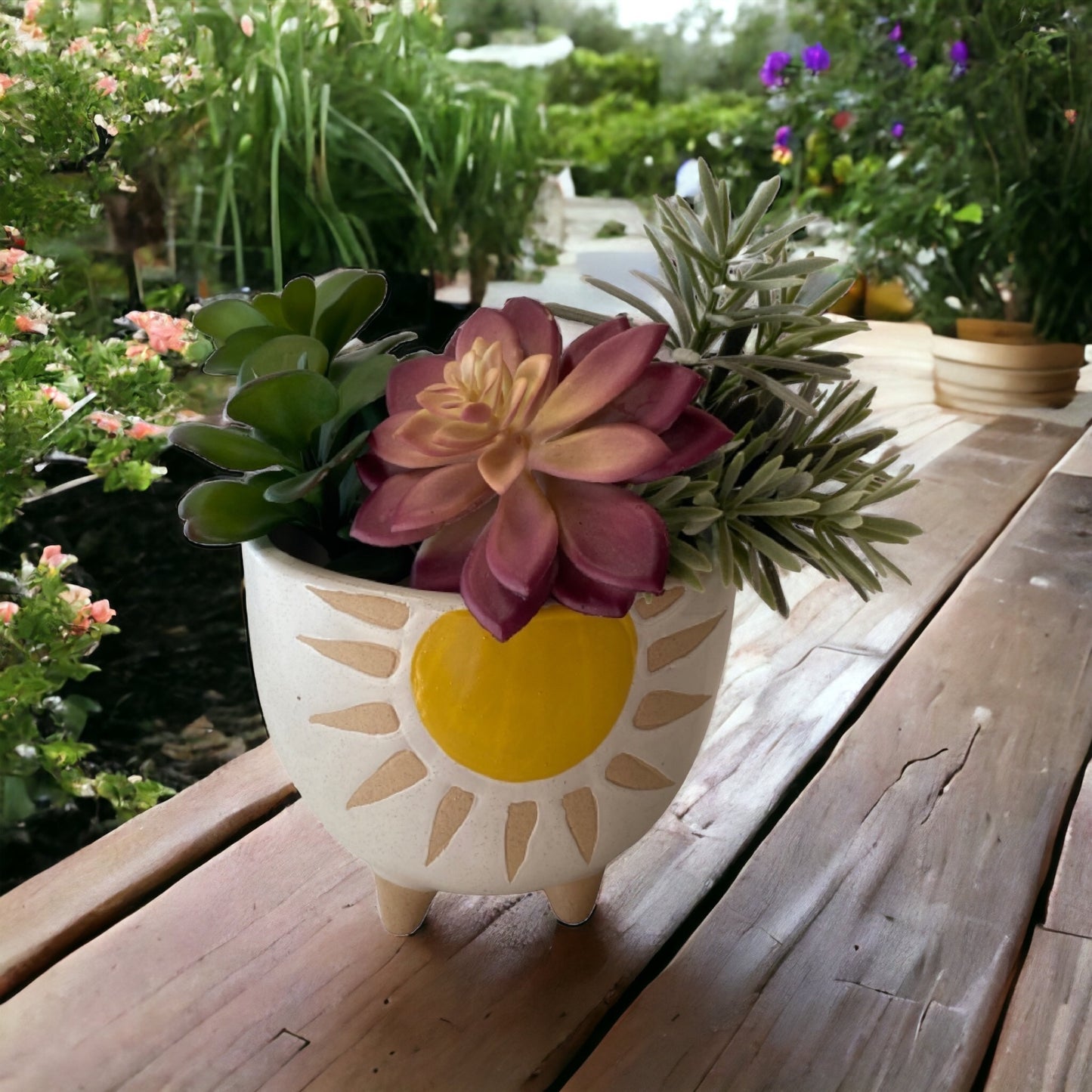Sunshine Plant Pot Planter Garden Bright - The Renmy Store Homewares & Gifts 