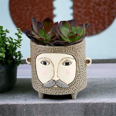 Pot Plant Planter Hairy Jack Funky - The Renmy Store Homewares & Gifts 