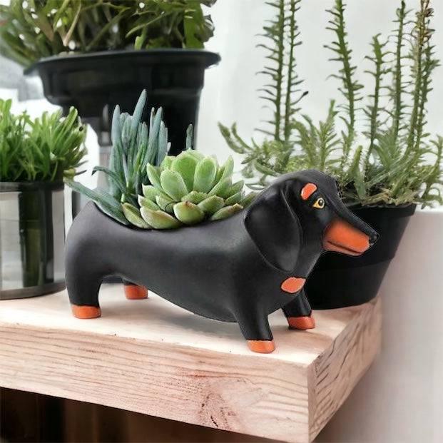 Dachshund Dog Otis Black Large Pot Planter - The Renmy Store Homewares & Gifts 