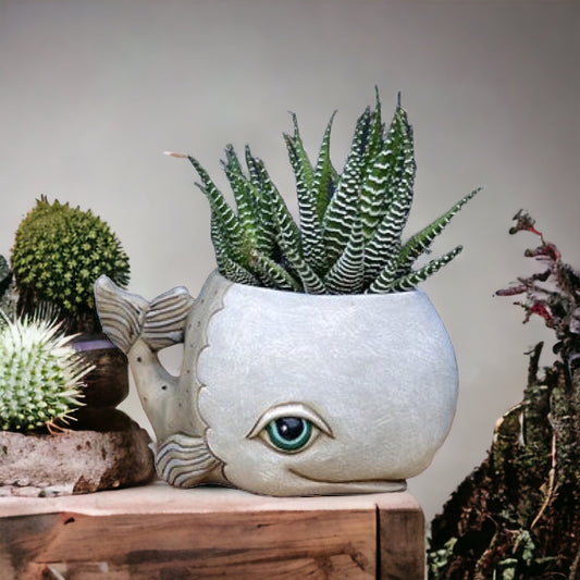Whale Grey Funky Pot Planter Small - The Renmy Store Homewares & Gifts 