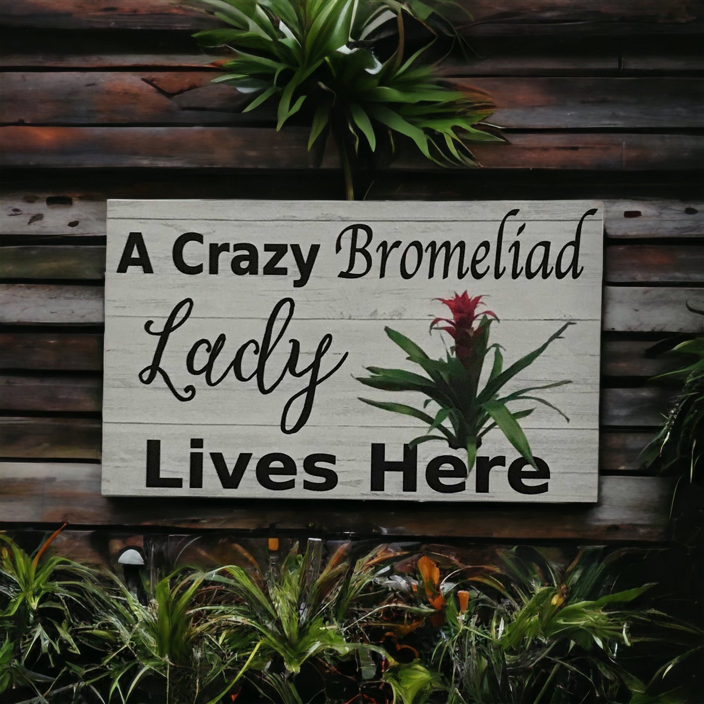 Crazy Bromeliad Lady Lives Here Sign - The Renmy Store Homewares & Gifts 