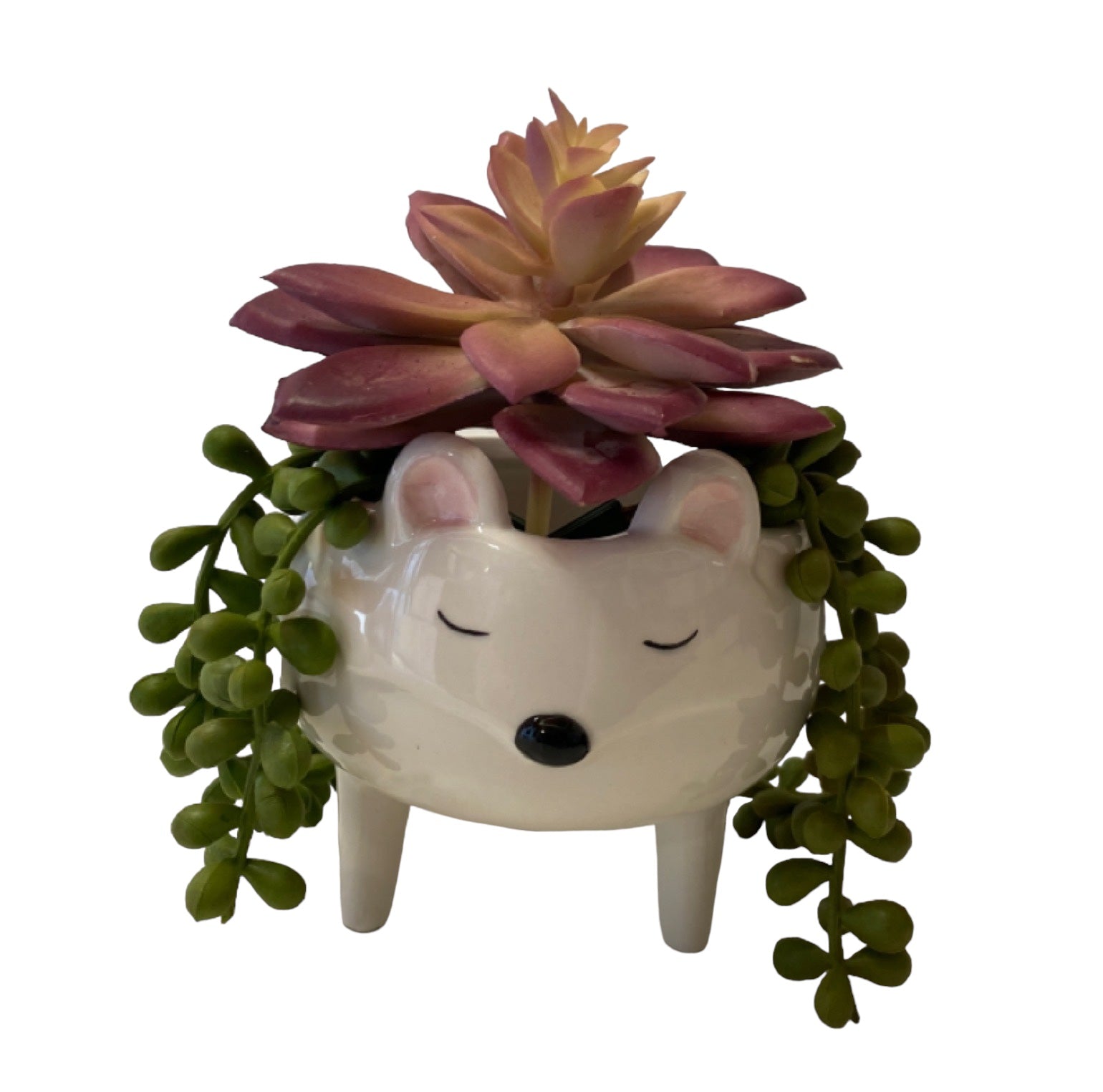 Mouse Pot Plant Planter Garden - The Renmy Store Homewares & Gifts 