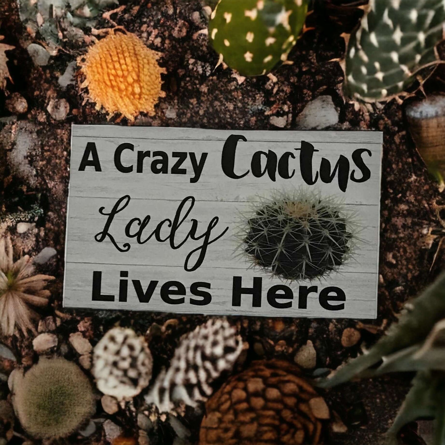 Crazy Cactus Lady Lives Here Sign - The Renmy Store Homewares & Gifts 