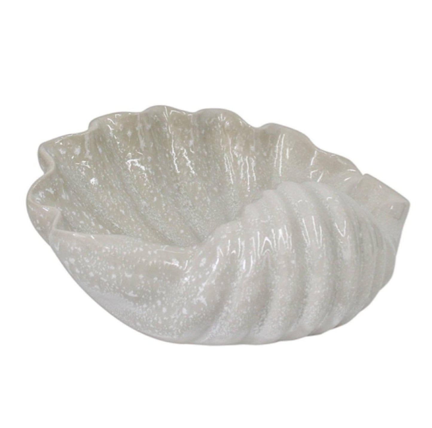 Shell Clam Large Coastal Beach House - The Renmy Store Homewares & Gifts 