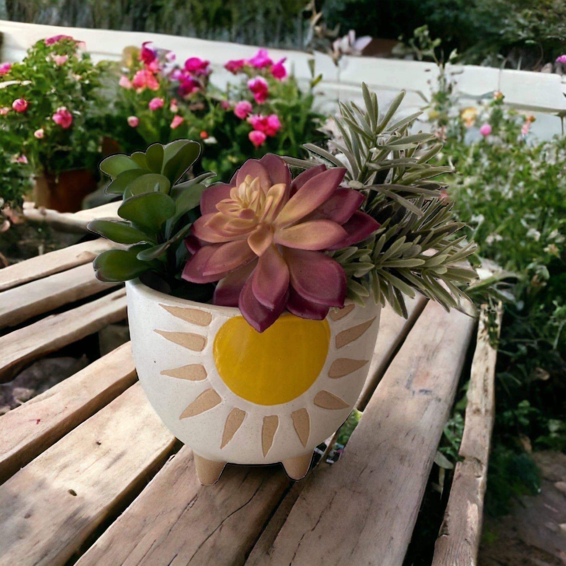 Sunshine Plant Pot Planter Garden Bright - The Renmy Store Homewares & Gifts 