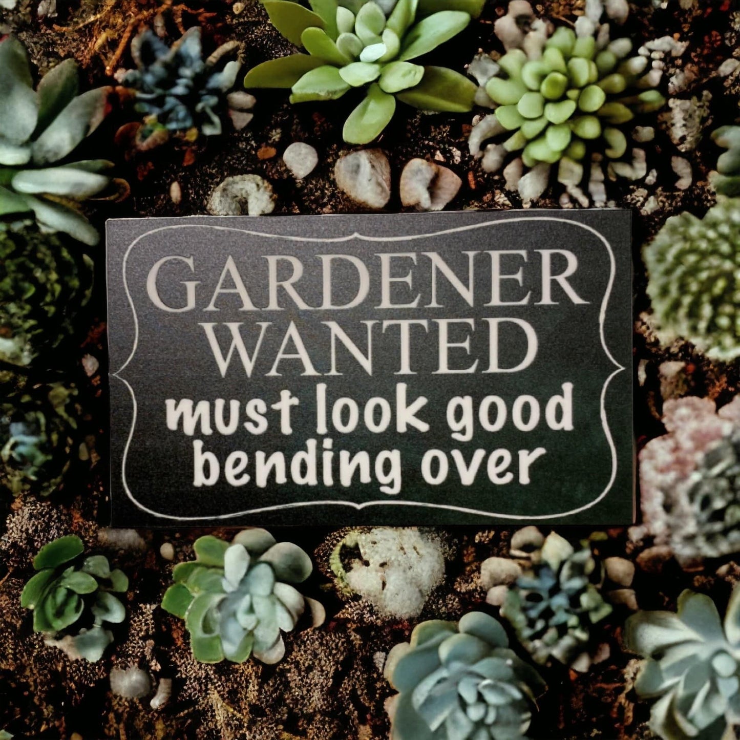 Gardener Wanted Funny Gardening Sign - The Renmy Store Homewares & Gifts 