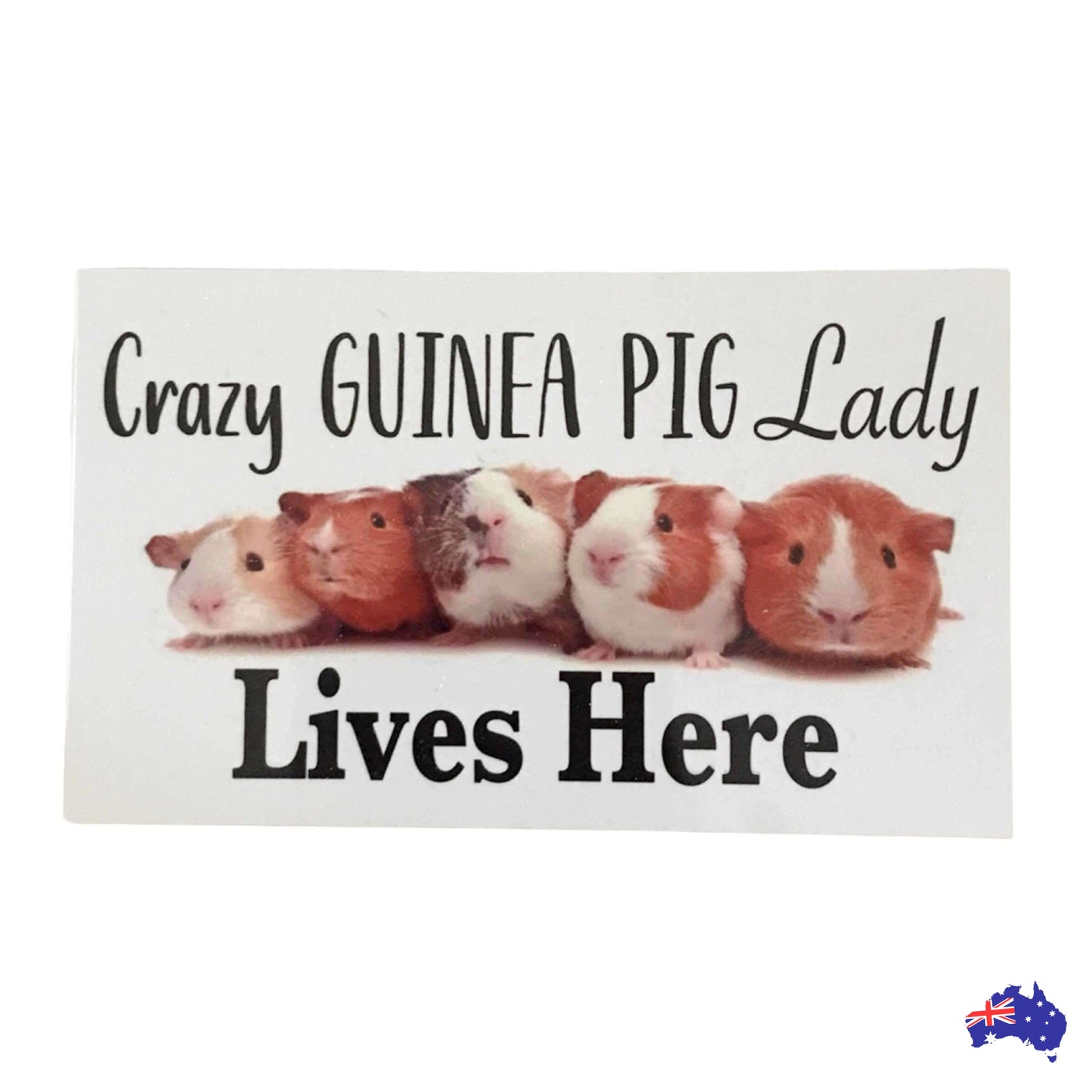 Crazy Guinea Pig Lady Lives Here Sign - The Renmy Store Homewares & Gifts 